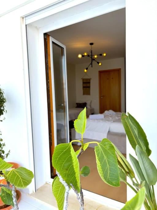 Nazare Boutique W Sea View And Private Rooftop Terace Exterior photo